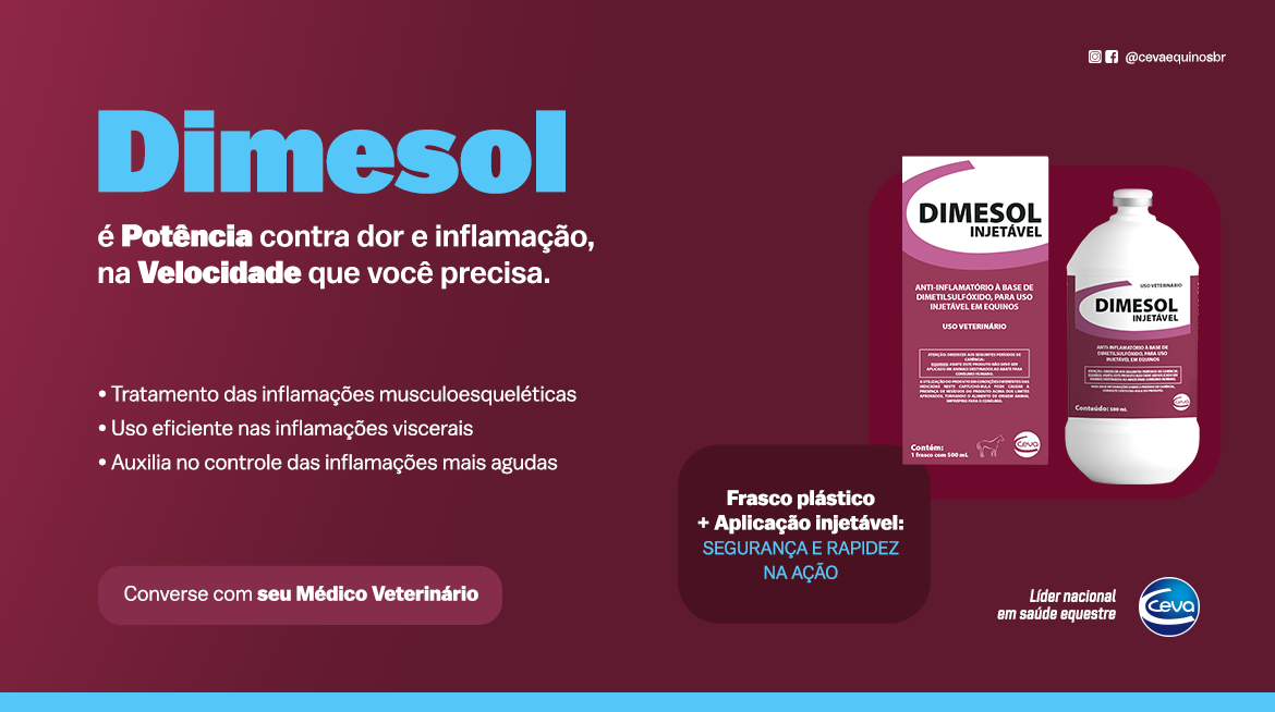 Lançamento Dimesol