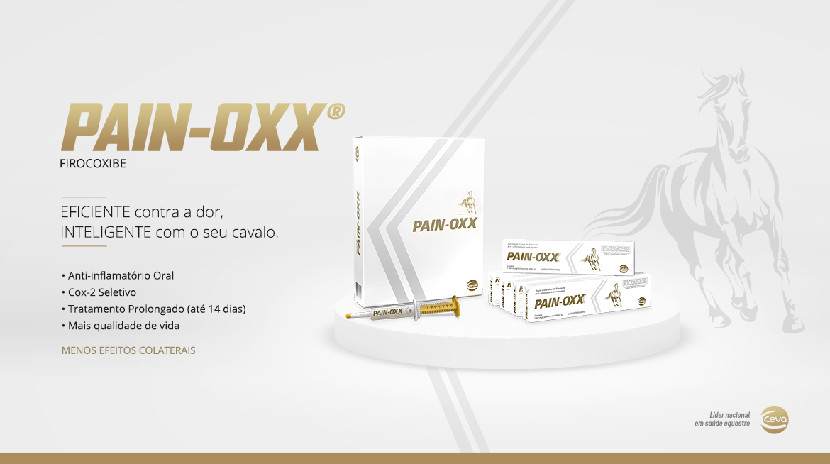 Lançamento Pain Oxx