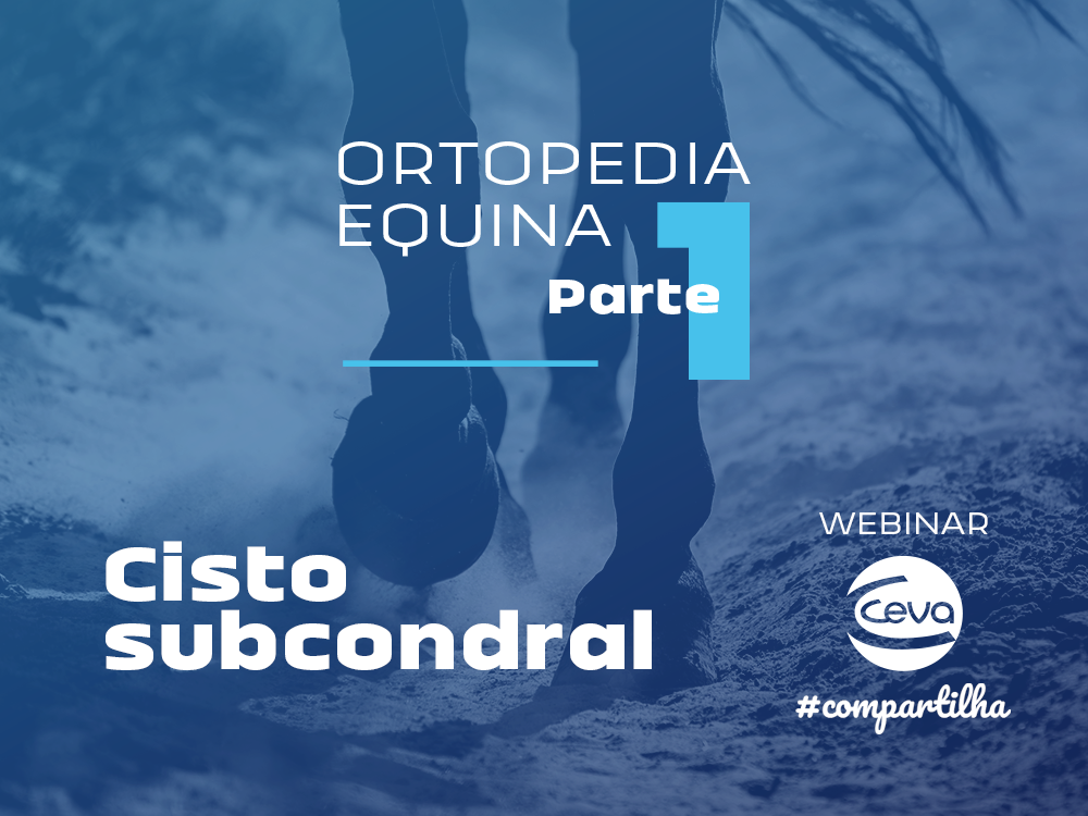 Webinar #CevaCompartilha - Ortopedia Equina Ceva Saude Animal e Equarter - Cisto Subcondral (parte 1)